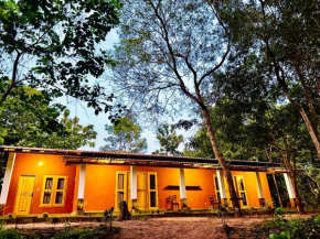Mango Tree Homestay and Hostel